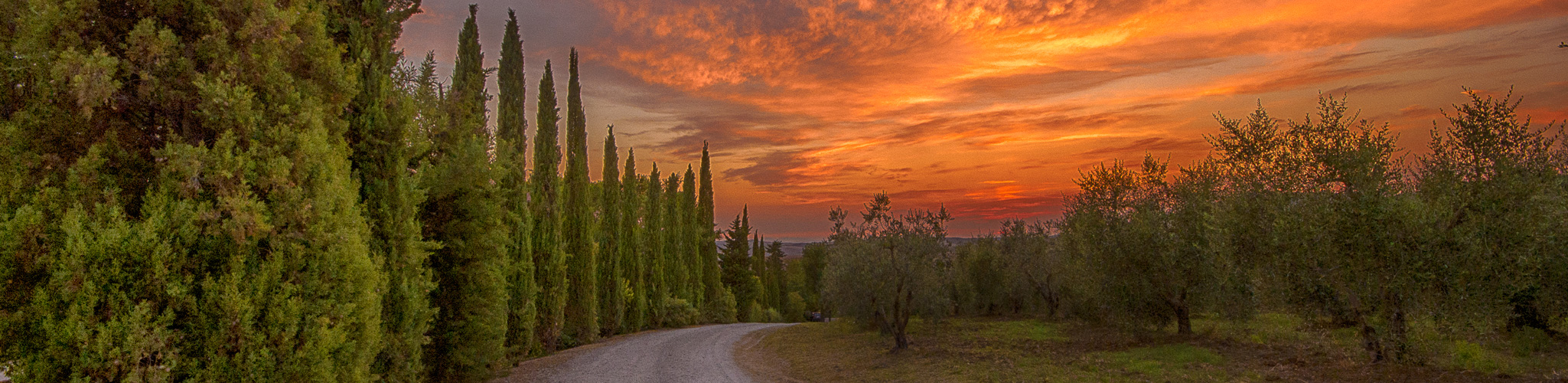 Podere Lamone