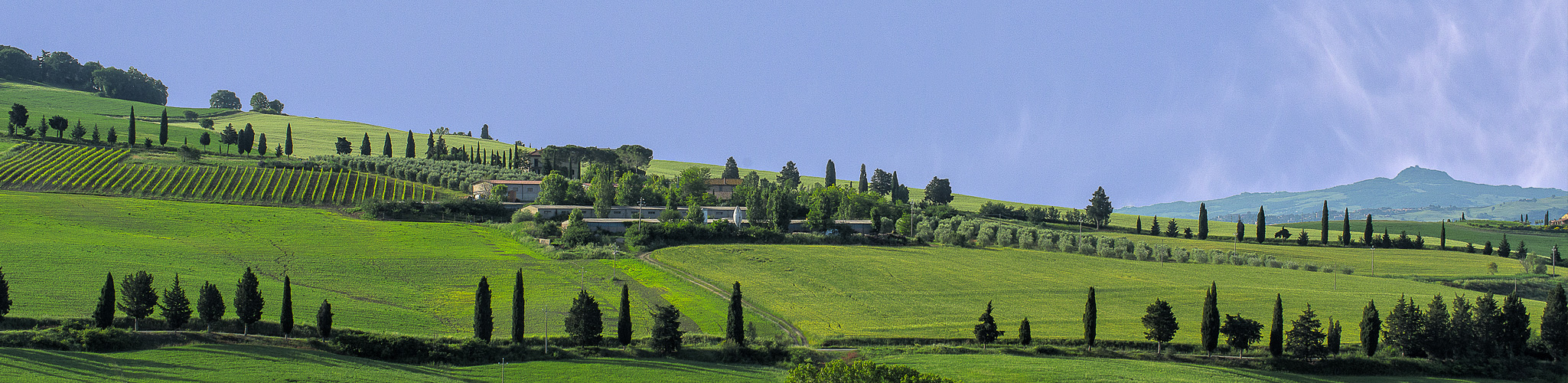 Podere Lamone